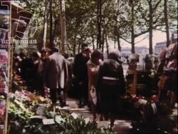 Flower market in Paris 1970s Stock Footage