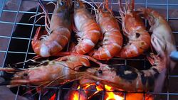 Grilled Shrimps sea food Stock Footage