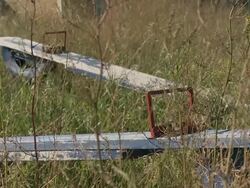 A park hidden in the tall grass Stock Footage