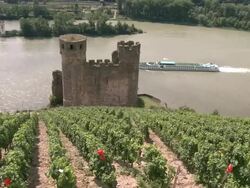 WS View of ruin of Castle Ehrenfels near RÃƒÂ¼desheim / Rhine-Valley,  Hesse, Germany Stock Footage