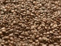 Coffee Beans Stock Footage