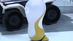Robots of all shapes and sizes showcased at CES News Clip