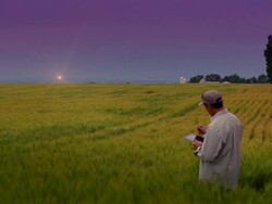 HD DOLLY: Farmer in Grain Field Using Tablet Stock Footage