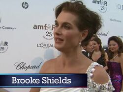 WireImage Daily 5/20/11 - Spanish Version Stock Footage