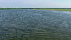 A stop sign pokes above a flooded field in Louisiana. Stock Footage