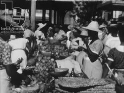The marketplace in Guadeloupe, Antilles, 1950s Stock Footage