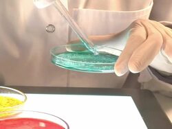 Laboratory work Stock Footage