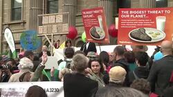 CLEAN : Australia kicks off climate rallies ahead of global talks News Clip