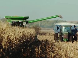 A combine full of harvested corn drives toward camera and unloads the crop into a wagon. Stock Footage