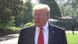 Trump: 'I'm the least racist person there is' News Clip