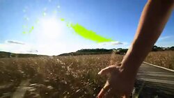 Hand of a woman caressing wheat field Stock Footage