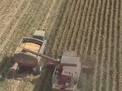 WS AERIAL TS ZI ZO View of tractor collecting grain cereals from farm field / Santarem, Portugal  Stock Footage