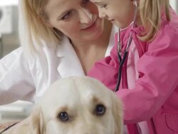 Vet And Little Girl Using A Stethoscope Stock Footage