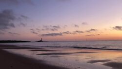 People make pebble sculptures as they they take their daily exercise News Clip