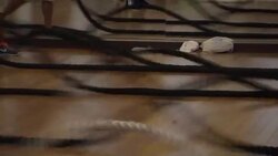 2016's global beauty and fitness trends  ++REPLAY++ Instructional Video