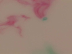 Abstract Fluid Dynamics HD #6 Stock Footage