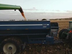 The auger from a combine empties corn into a wagon as both drive down the field harvesting. Stock Footage