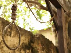 Hangman's Noose Stock Footage