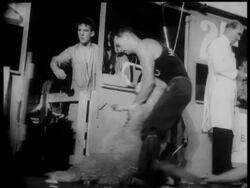 NEW ZEALAND - GOLDEN SHEARS News Clip