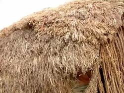 Boy by the entrance of his straw hut Stock Footage