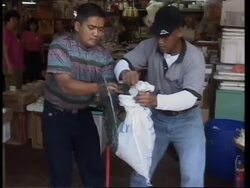 EDIT Animal lovers try to save stray cats from SARS-led cull Instructional Video