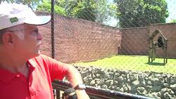 Sweltering temperatures in Latin America on Wednesday are posing problems for animals across the region. News Clip