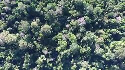 Aerial View of Peruvian Amazon and Jungle Stock Footage