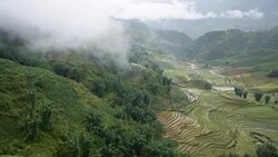 terraced rice field in Sapa, Vietnam Stock Footage