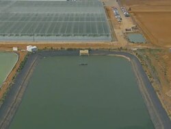 WS AERIAL DS ZI View of lakes at near plantation nursery in farm field / Adelaide, South Australia, Australia Stock Footage
