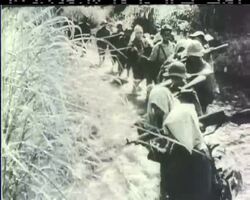 VIETNAM REPORT News Clip