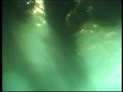 GALAPAGOS: OIL SPILL: CAPTAIN SUFFERS WITH NERVOUS TENSION News Clip