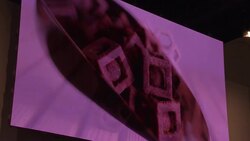 Latest CES gadgets including wearable tech and 3D food printers News Clip