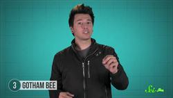 7 New Species Discovered in Cities Instructional Video