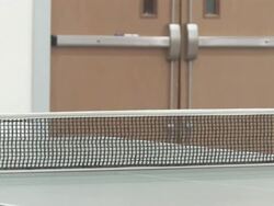 Ping-pong 2: HD 30F Stock Footage