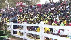 CLEAN : Mugabe opens Zimbabwe agricultural fair News Clip