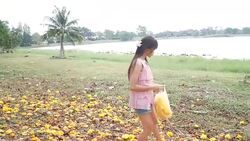 woman in pick follen yellow flowers Stock Footage
