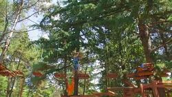 municipal park in summer, boy in the rope park Stock Footage