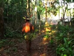 tribal guide Stock Footage