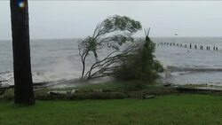 Florida Braces for 'Life-Threatening' Hurricane Instructional Video