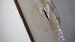 Water leaking from ceiling Stock Footage