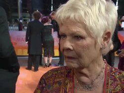 INTERVIEW - Judi Dench on Daniel Craig's injury on set filming the new Bond film 'Spectre' at 'The Second Best Exotic Marigold Hotel' premiere Stock Footage
