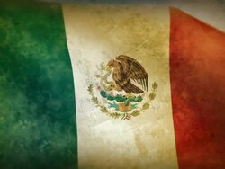 Waving Flag - Mexico Stock Footage