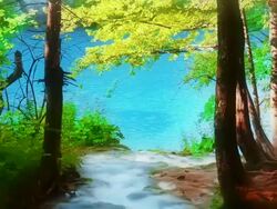 Forest, lake and river Stock Footage