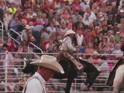A cowboy's ride comes to an end as he jumps off his bucking horse at a rodeo. Stock Footage