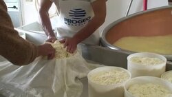 Italy, dairy farm in the mountain hut Stock Footage