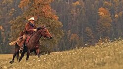 SLO MO DS Male rancher riding galloping horse uphill Stock Footage