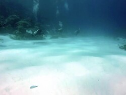 Underwater swimming Diver Stock Footage