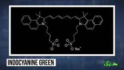 The Most Advanced Robots in the World Instructional Video