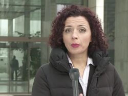 HD: News Reporter On the Scene Stock Footage