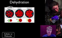 Homeostatic Disruptions Instructional Video